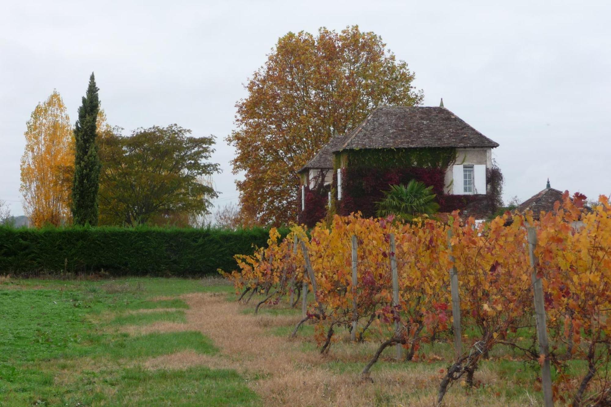 Domaine De La Queyssie Bed & Breakfast Saussignac Eksteriør bilde