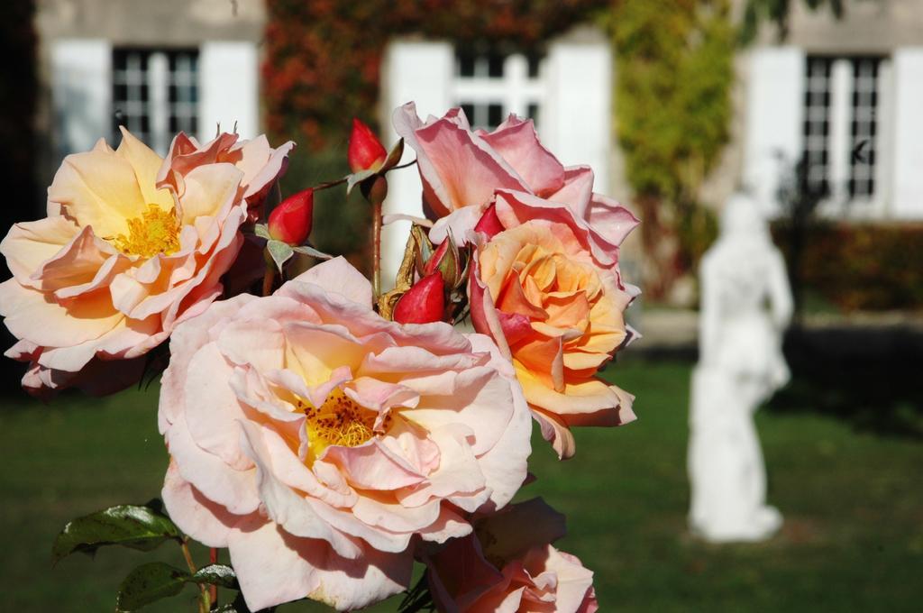 Domaine De La Queyssie Bed & Breakfast Saussignac Eksteriør bilde