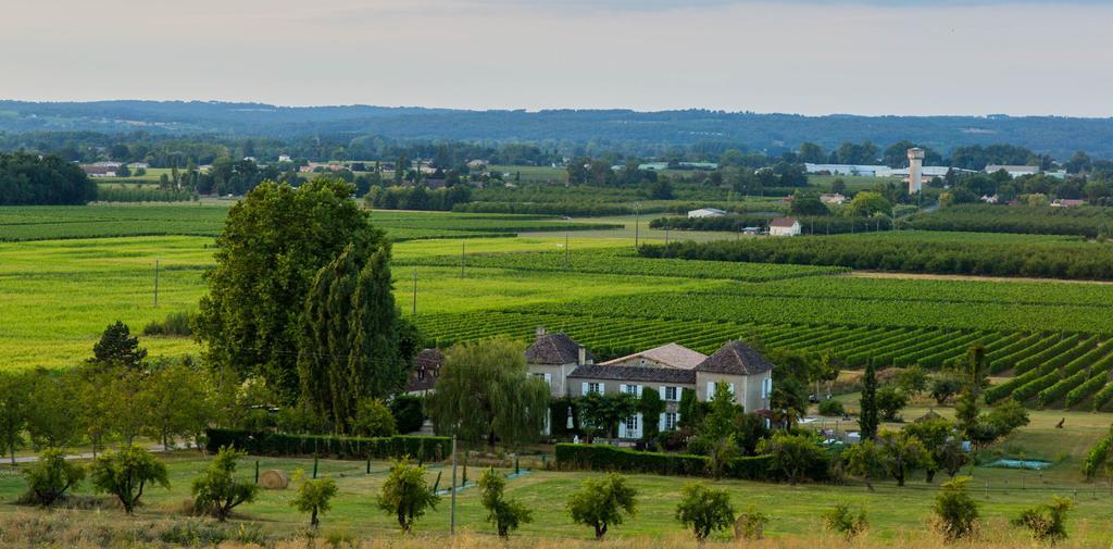 Domaine De La Queyssie Bed & Breakfast Saussignac Eksteriør bilde